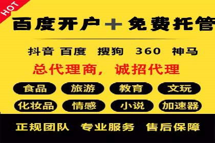 sem托管服务案例：如何实现广告投放精准化